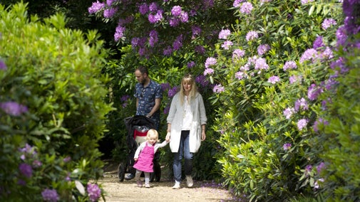 Family walking through Claremont Landscape Garden, Surrey